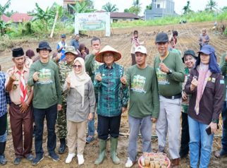 Wali Kota Jambi, Maulana bersama unsur Forkopimda dalam kegiatan penanaman padi gogo bersama 500 anggota Pramuka tingkat SMP se-Kota Jambi